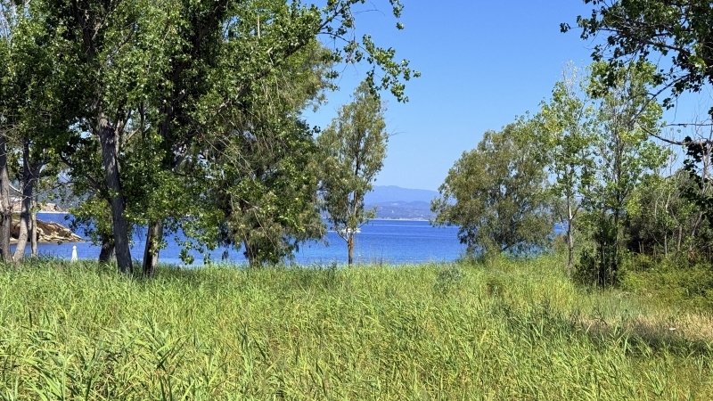 Land in Sithonia, Macedonia and Thrace, Greece 2 - 16119375