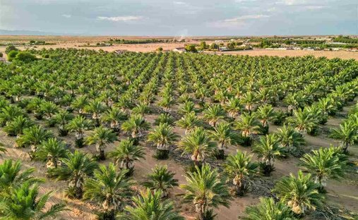 Terreno a Yuma, Arizona, Stati Uniti 1