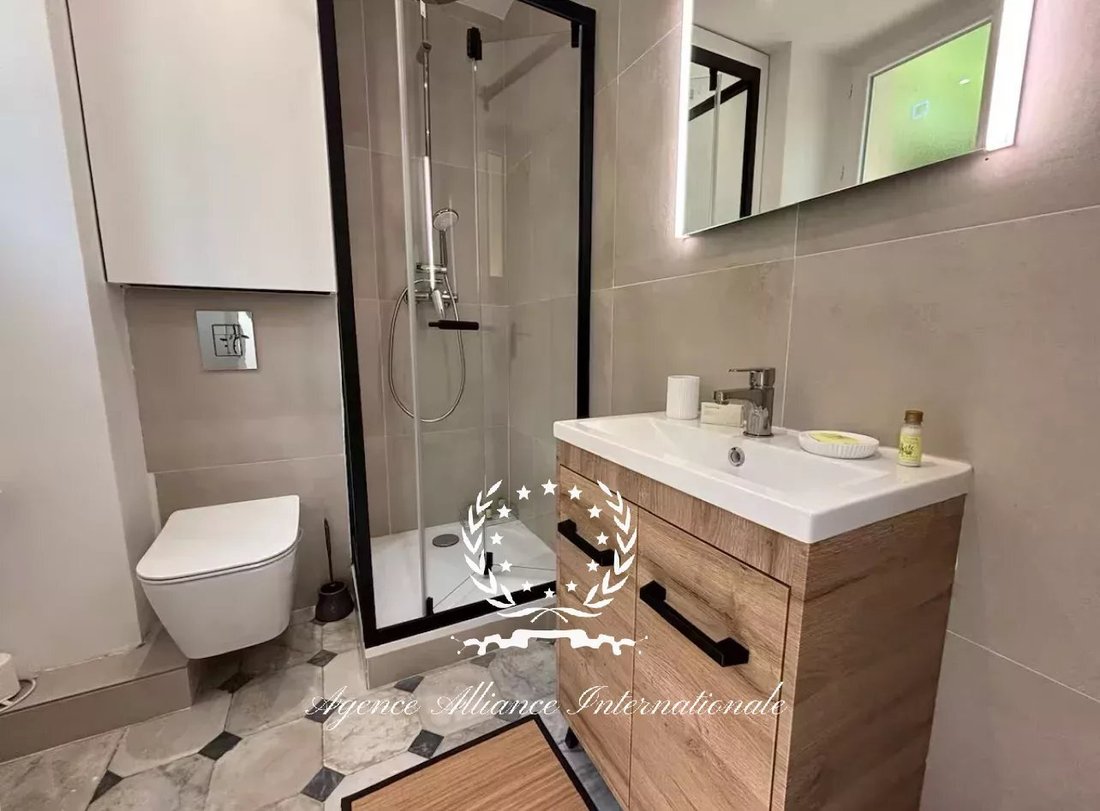 Apartment in Cannes, Provence-Alpes-Côte d'Azur, France 4 - 16052822