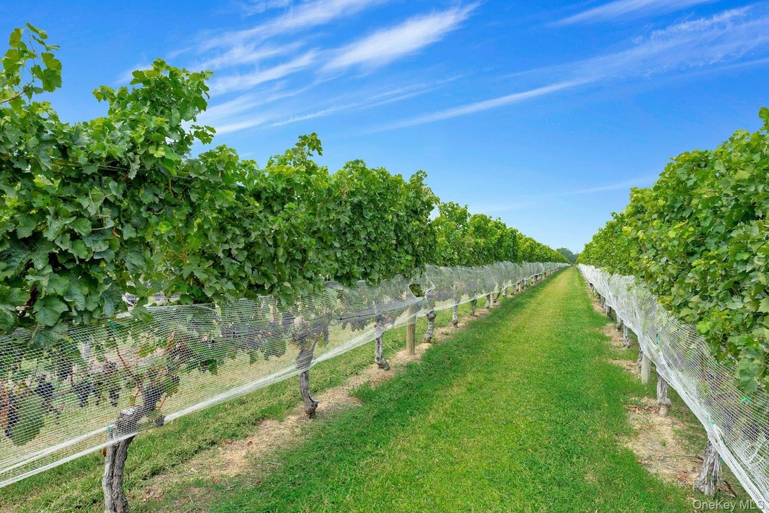 Land in Peconic, New York, United States 1 - 16120943