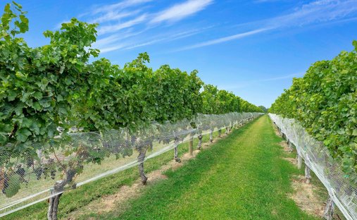 Land in Peconic, New York, United States 1