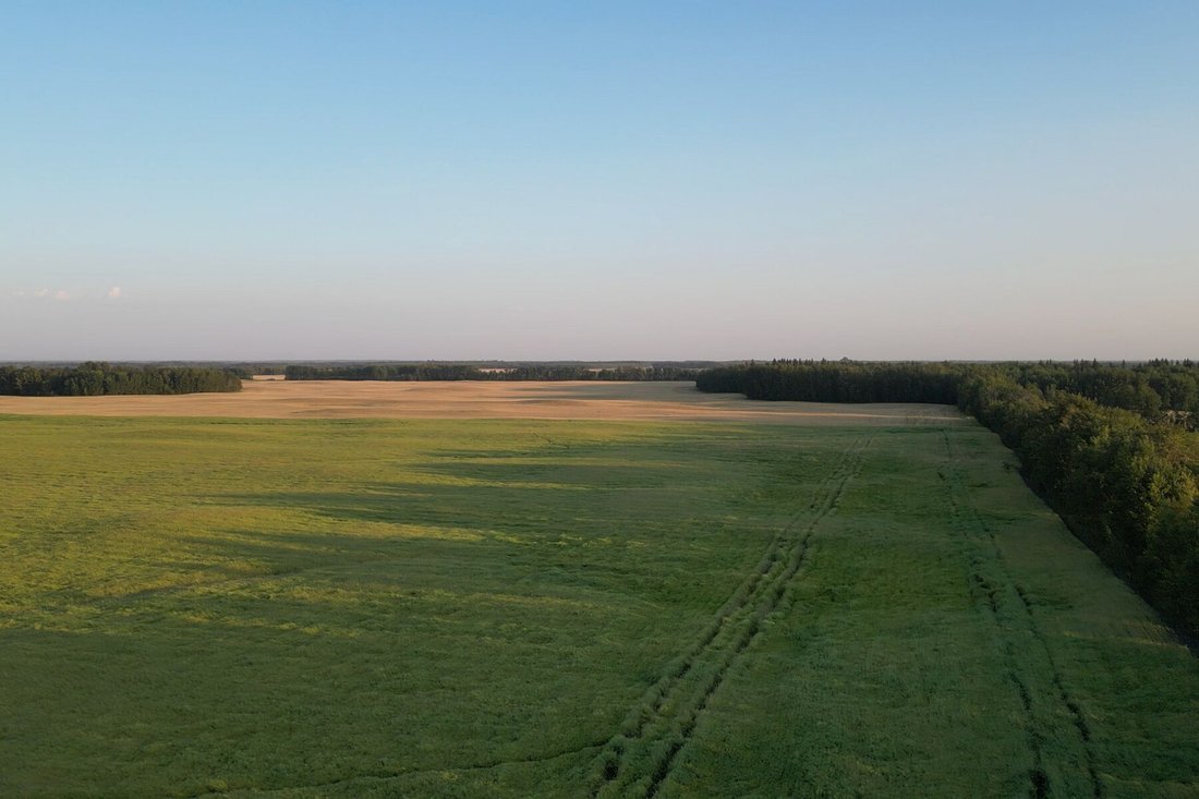 Elbridge, Alberta, Canada 1 - 16121670