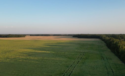 Elbridge, Alberta, Canada 1