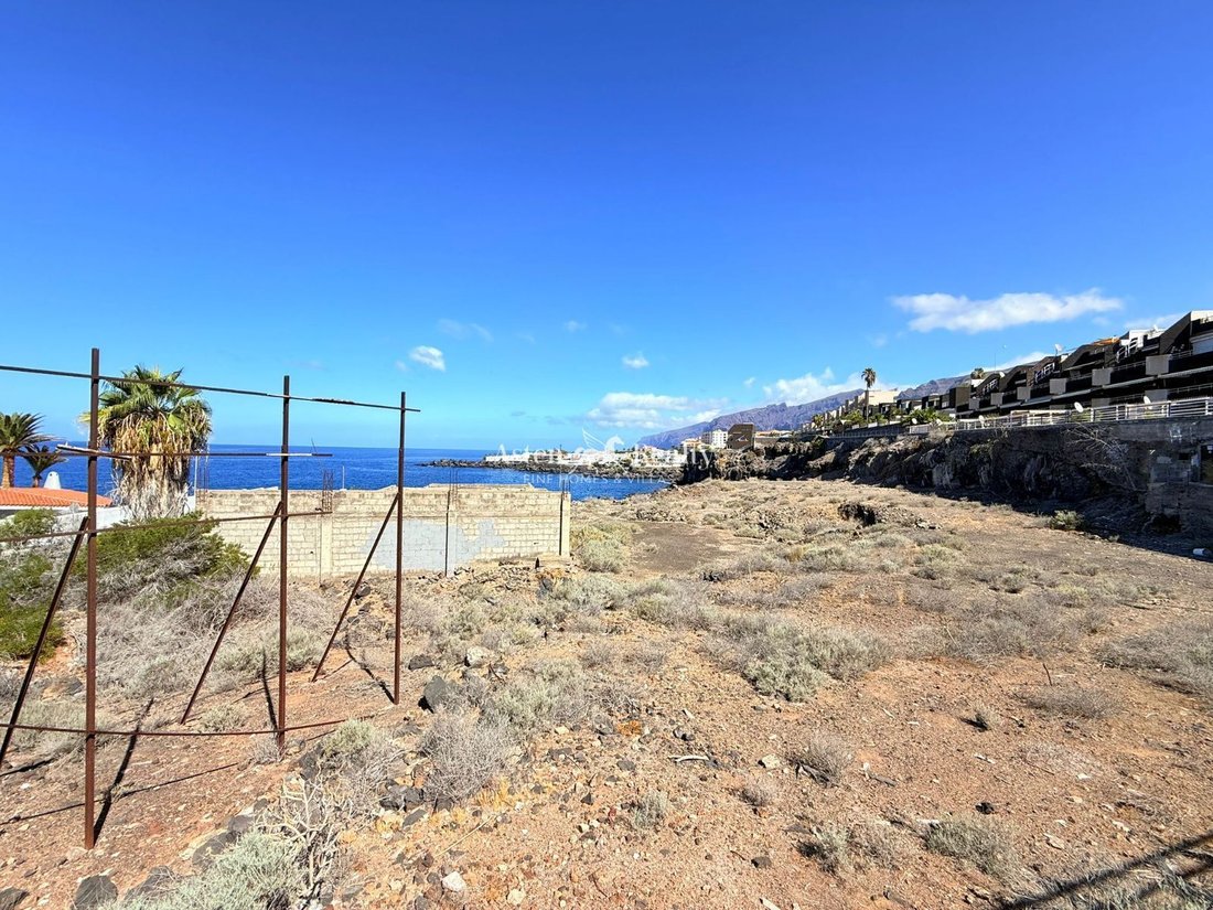 Finca in Guia de Isora, Canary Islands, Spain 4 - 16119443