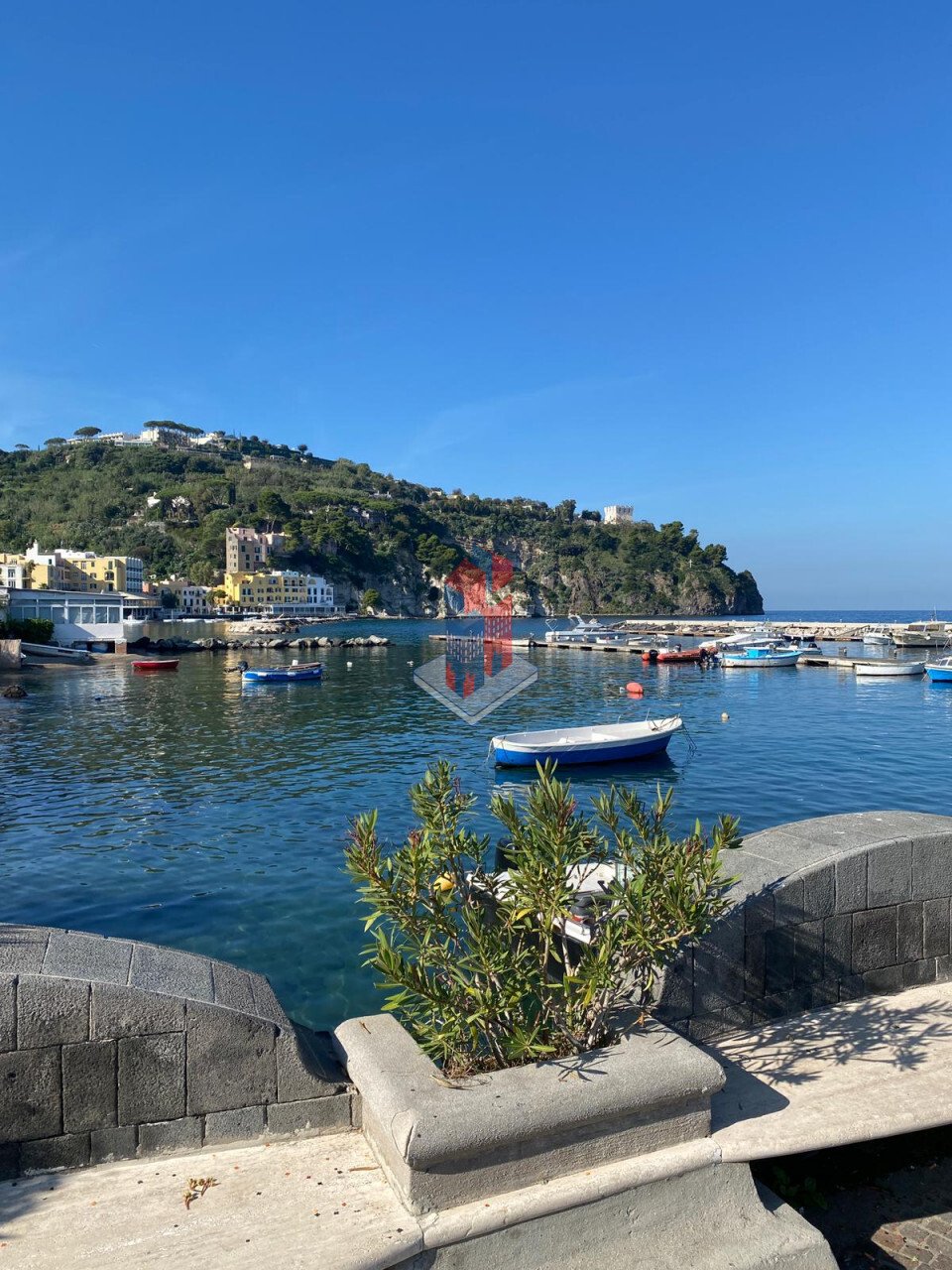 Apartment in Ischia, Campania, Italy 3 - 16121393
