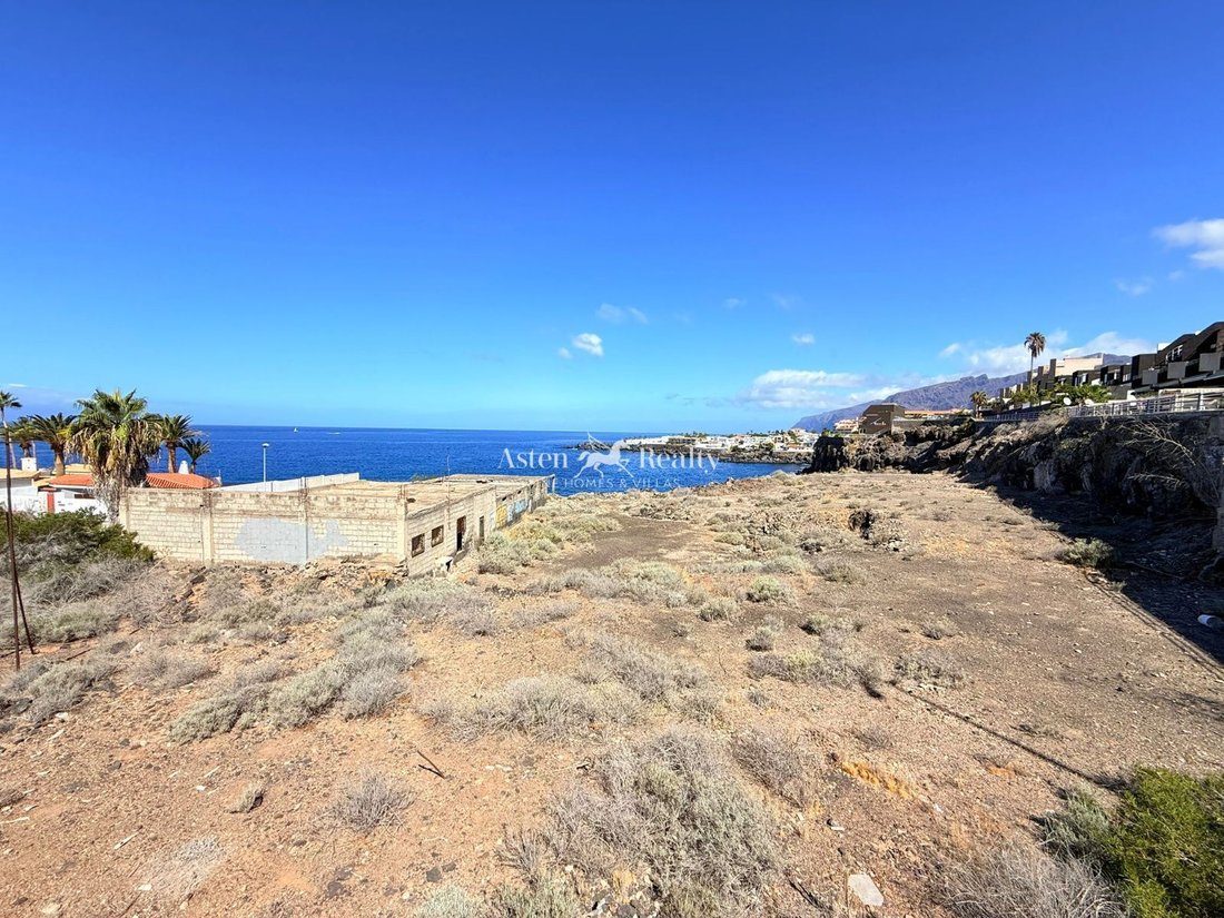 Finca in Guia de Isora, Canary Islands, Spain 3 - 16119443