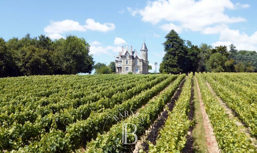 Vendee Little 1çth Century Castle And Its Outbuildings 6ha Parkland 30min From The Sea
