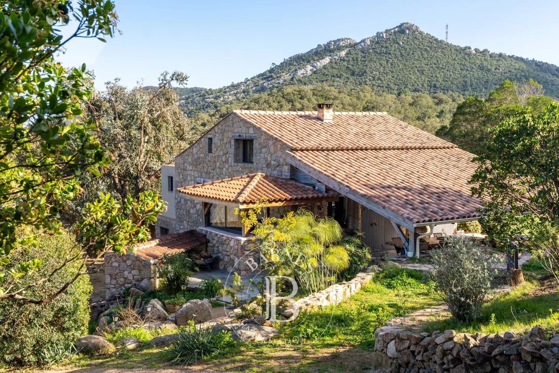 Villa in Peri, Corsica, France 3 - 16119549
