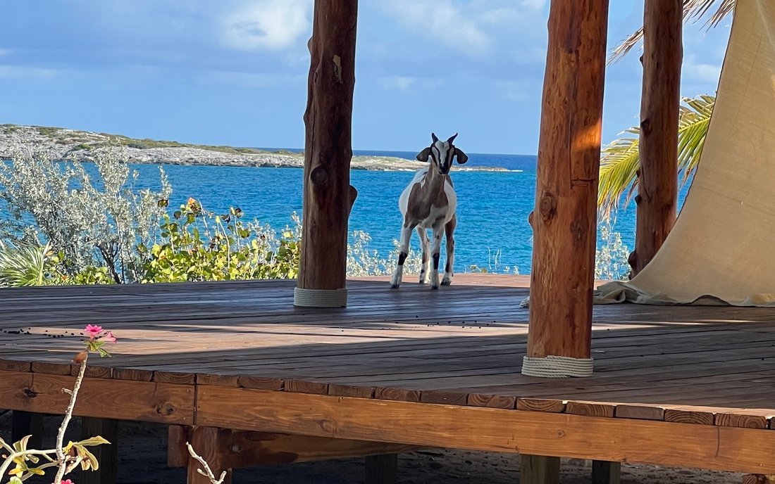 Private Island in Ragged Island Cays, Bahamas 3 - 16120327