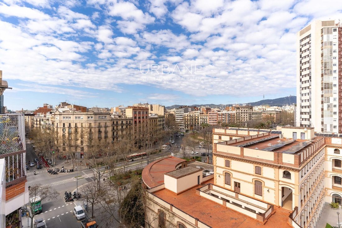 Apartment in Eixample, Barcelona, Spain 5 - 16121889