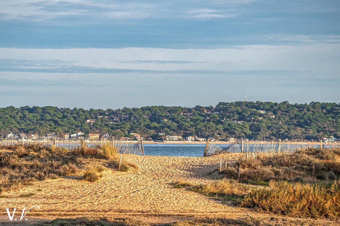 Estate in Centre Cap Ferret, Lège-Cap-Ferret, France 1 - 16127497