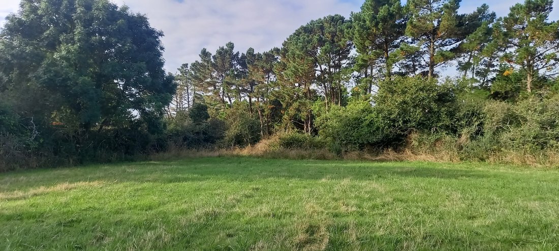 Land in Carnac, Brittany, France 2 - 16125414