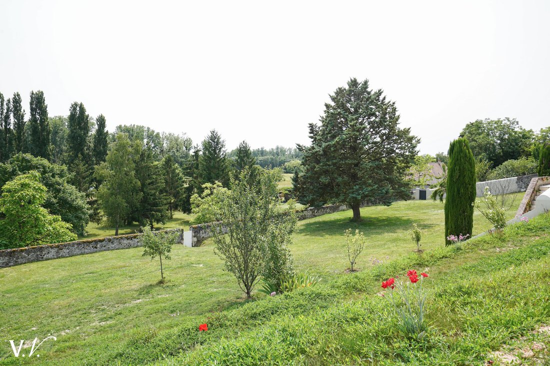 Estate in Noizay, Centre-Val de Loire, France 3 - 16127193