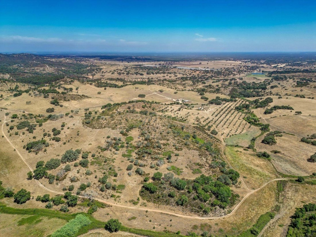 Farm Ranch in Colos, Beja District, Portugal 2 - 16126596