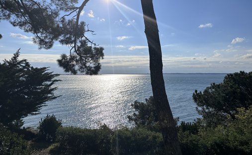 Villa in Centre Cap Ferret, Lège-Cap-Ferret, France 1