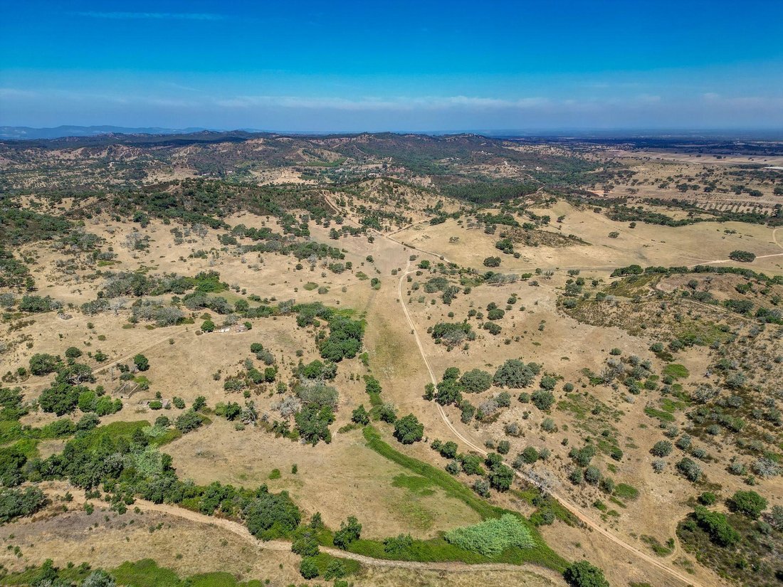 Farm Ranch in Colos, Beja District, Portugal 3 - 16126596