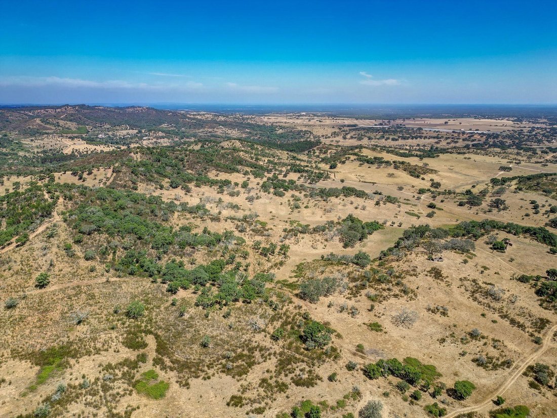 Farm Ranch in Colos, Beja District, Portugal 4 - 16126596