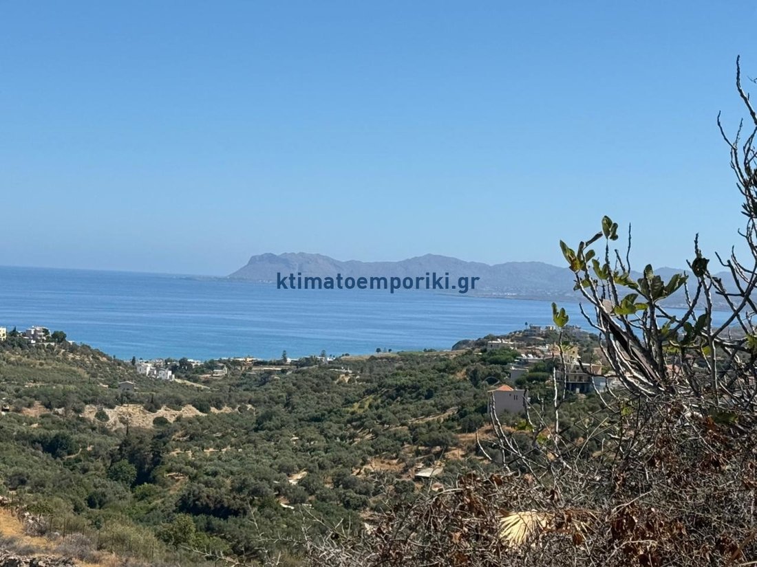 Land in Crete, Greece 4 - 16127537