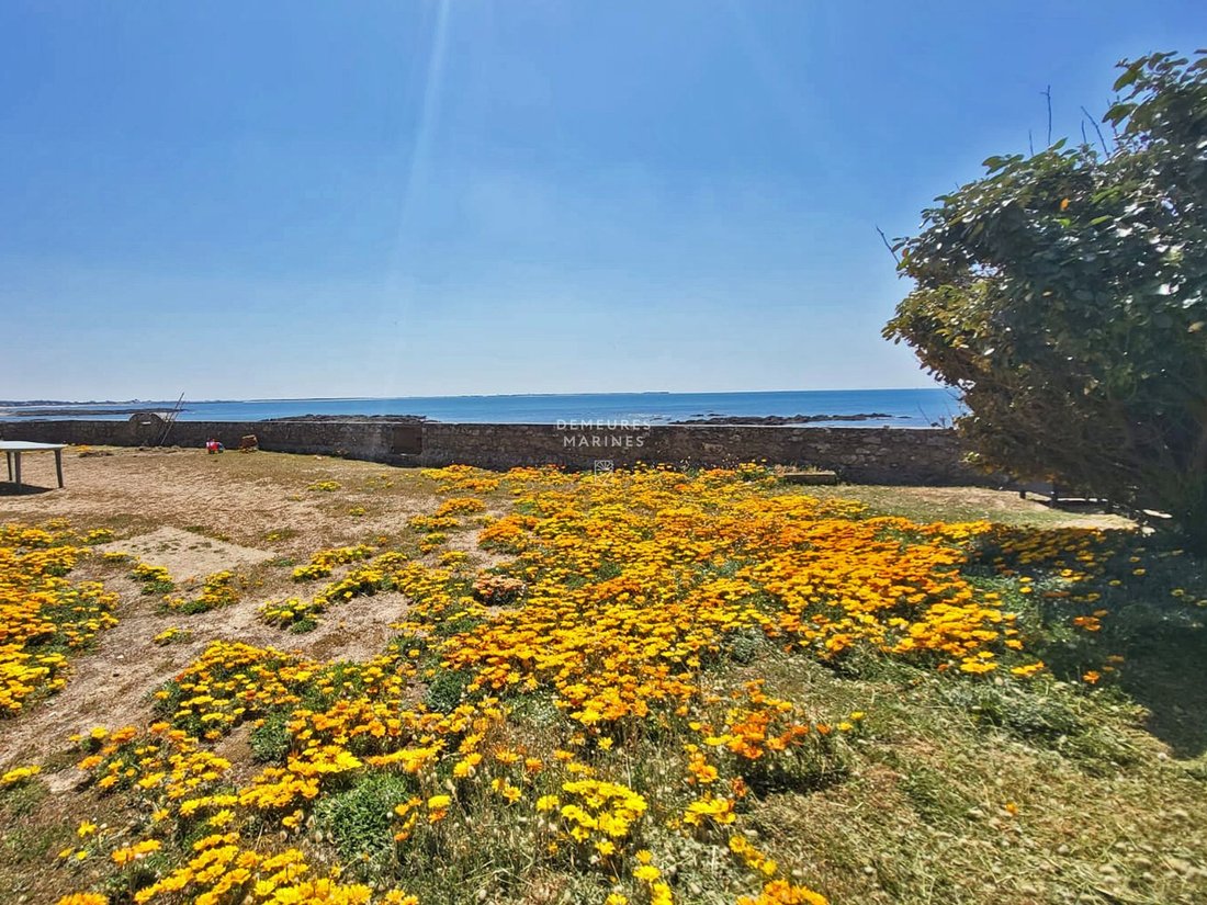 Estate in Piriac-sur-Mer, Pays de la Loire, France 5 - 16126568
