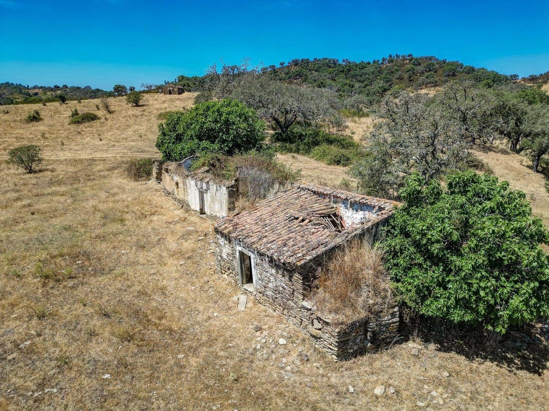 Farm Ranch in Colos, Beja District, Portugal 1 - 16126596