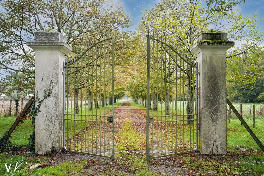 Whispers of Loire: A 17th-Century Manor’s Timeless Embrace