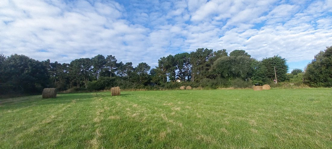 Land in Carnac, Brittany, France 1 - 16125414