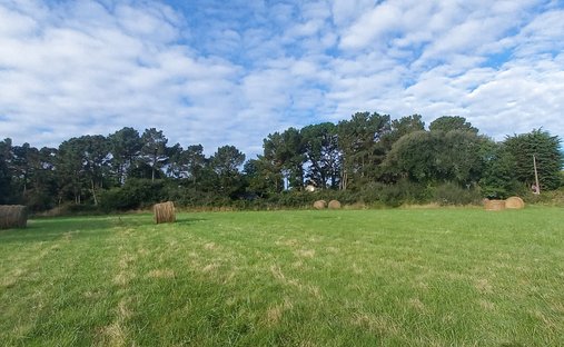 Land in Carnac, Brittany, France 1