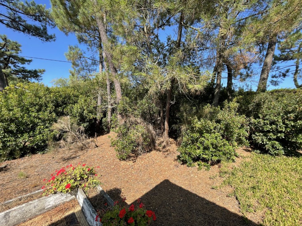 Villa in Centre Cap Ferret, Lège-Cap-Ferret, France 5 - 16125085