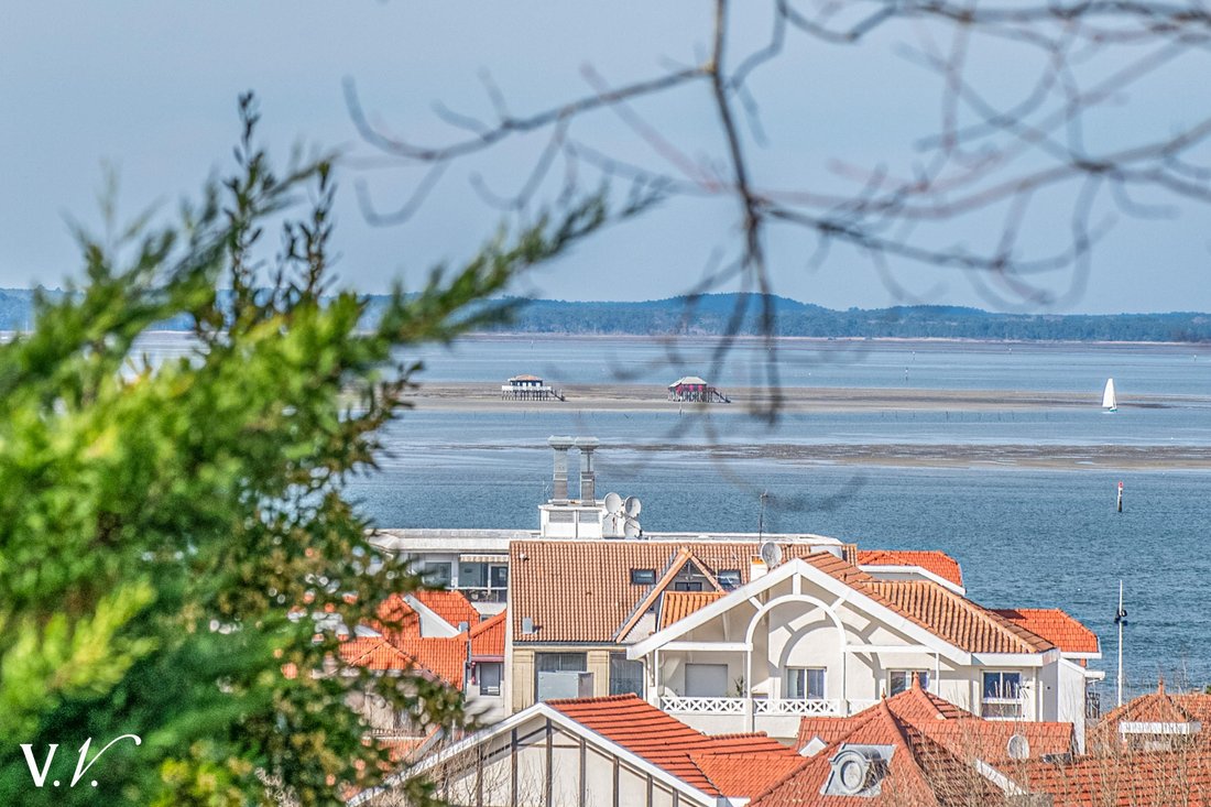 Villa in Aiguillon, Arcachon, France 3 - 16127422
