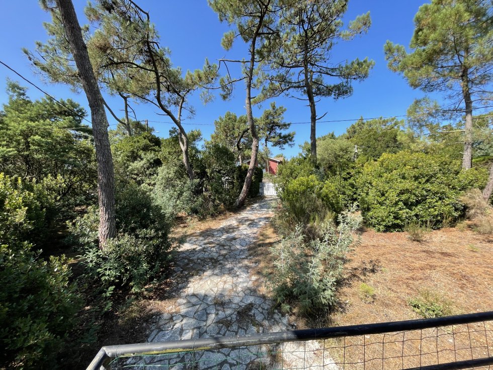 Villa in Centre Cap Ferret, Lège-Cap-Ferret, France 4 - 16125085