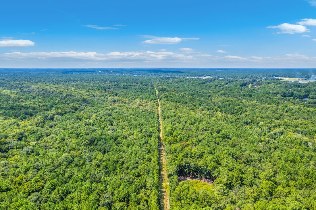 Land in Johns Island, South Carolina, United States 5 - 16124068