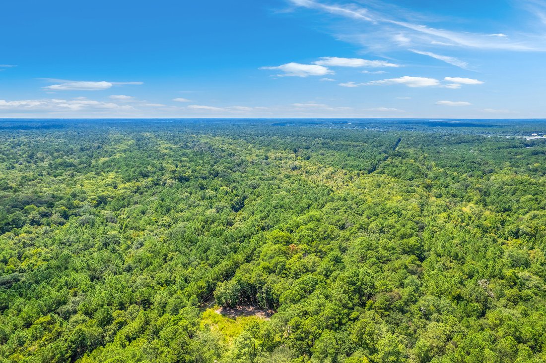 Land in Johns Island, South Carolina, United States 1 - 16124068