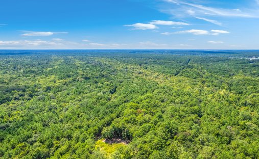 Land in Johns Island, South Carolina, United States 1