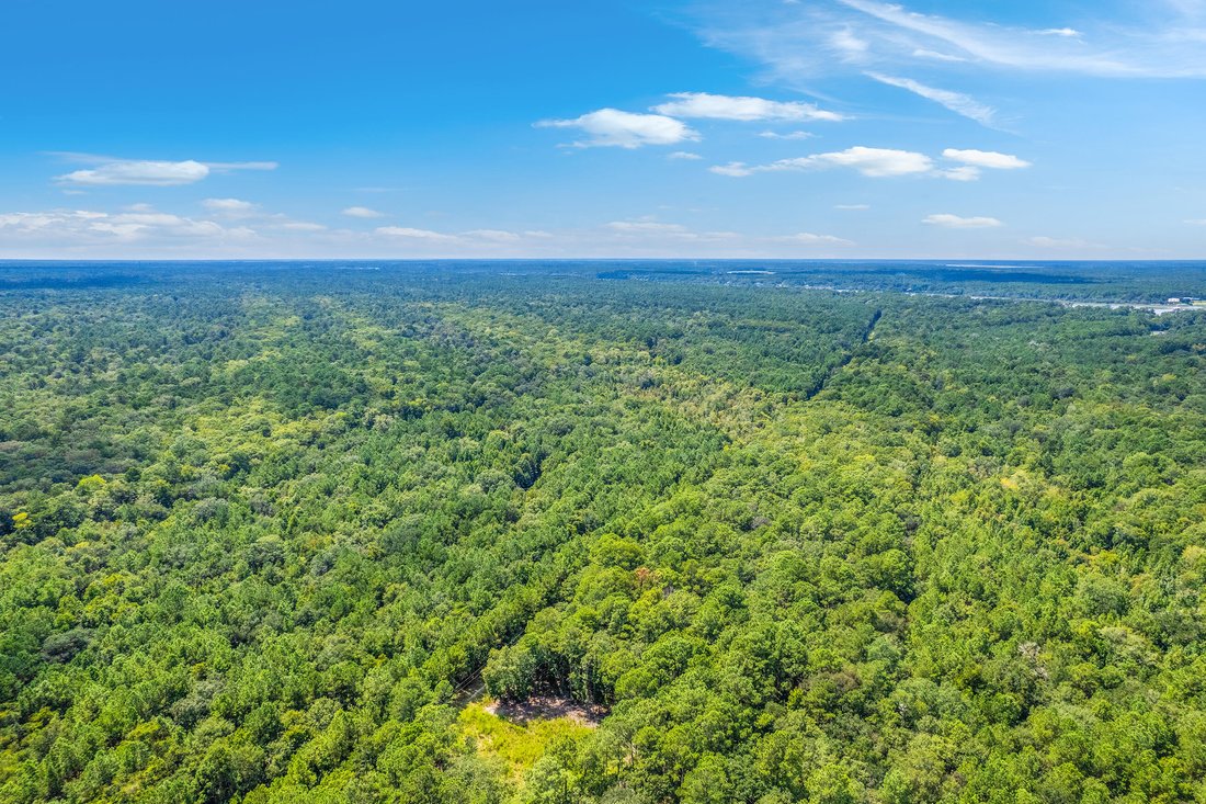 Land in Johns Island, South Carolina, United States 3 - 16124068