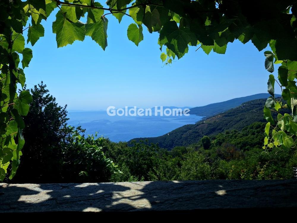 Estate in Mouresi, Thessaly and Central Greece, Greece 1 - 16123907