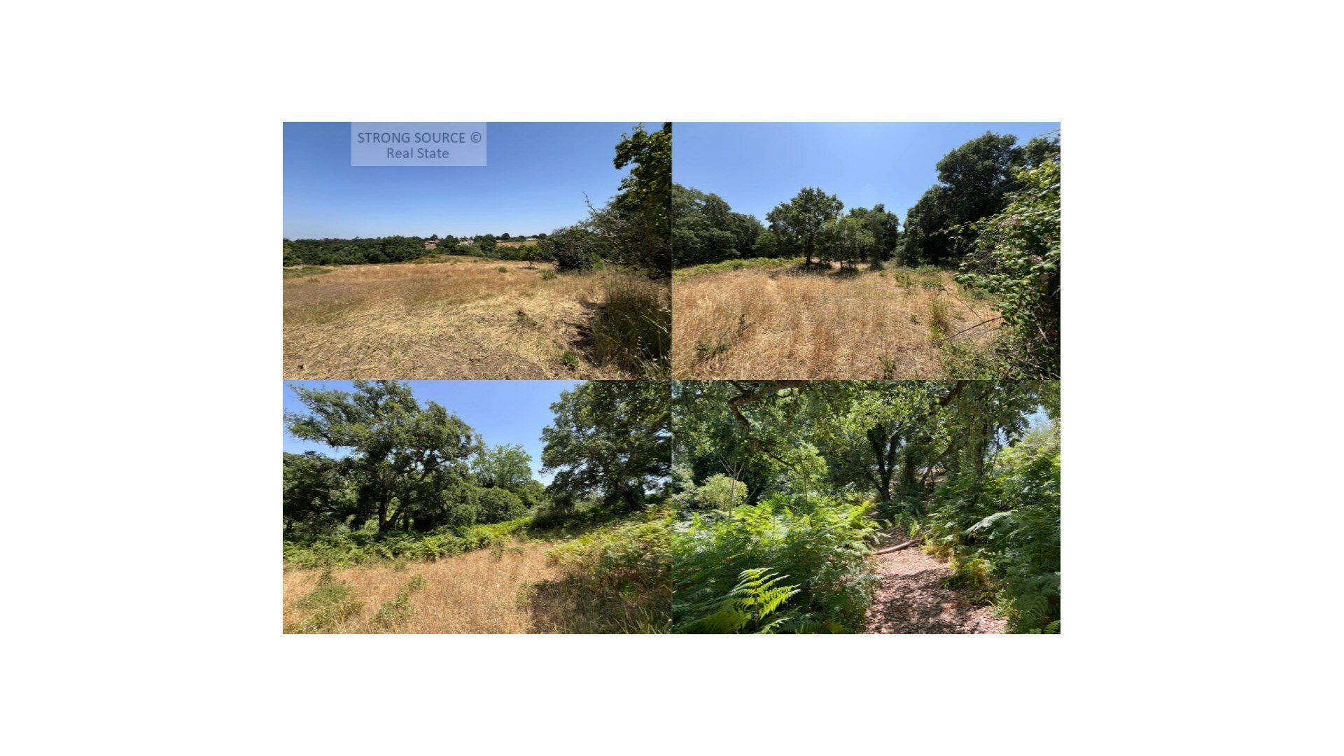 Land for sale in Sesimbra, Portugal — €480,000