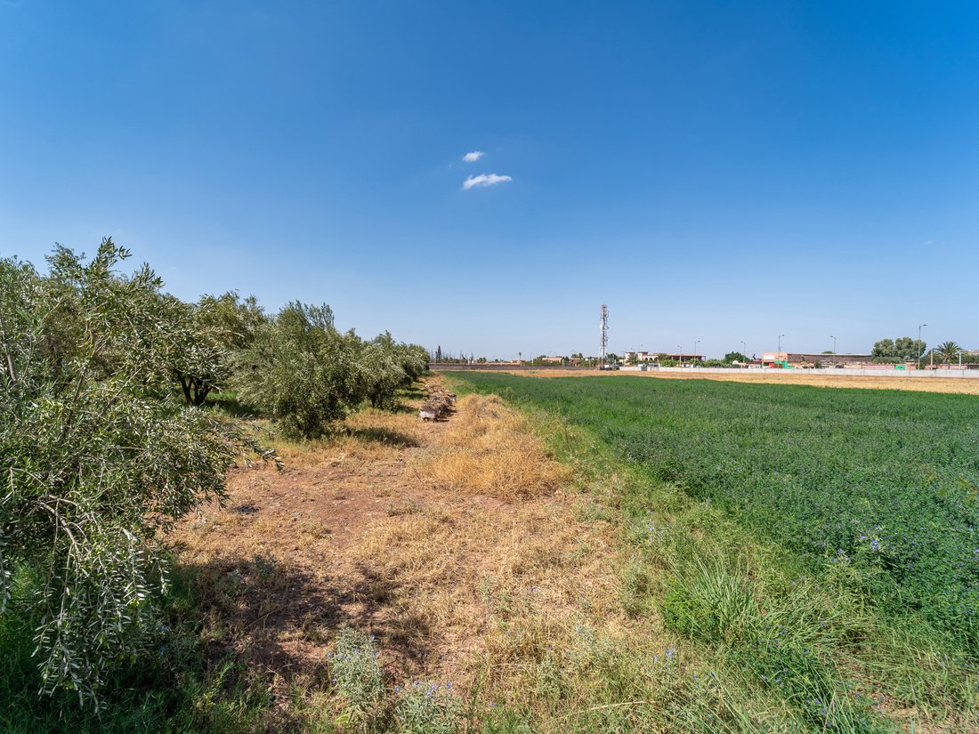Land in Medina, Marrakesh-Safi, Morocco 5 - 16123527