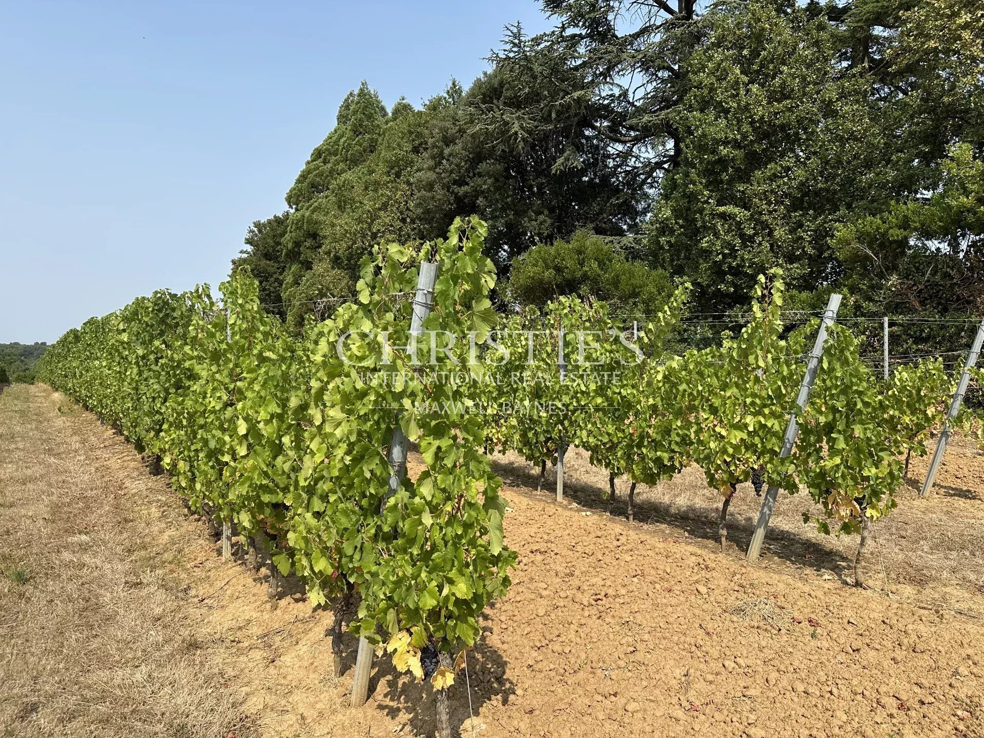 Saint Emilion Region A Charming Château With A Few Vines
