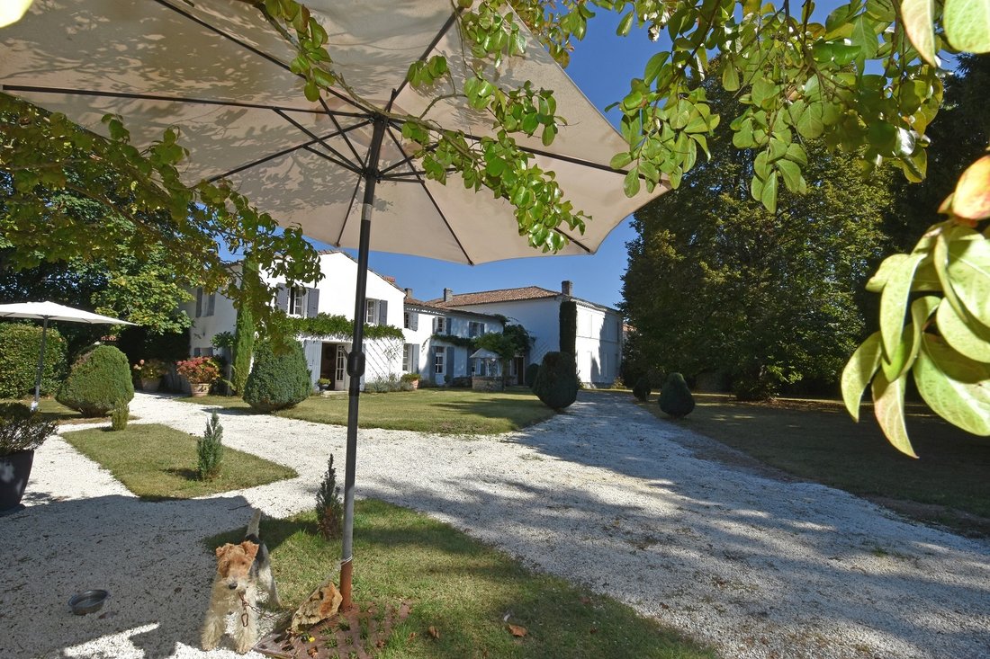 Villa in Pontaillac, Royan, France 4 - 16126434