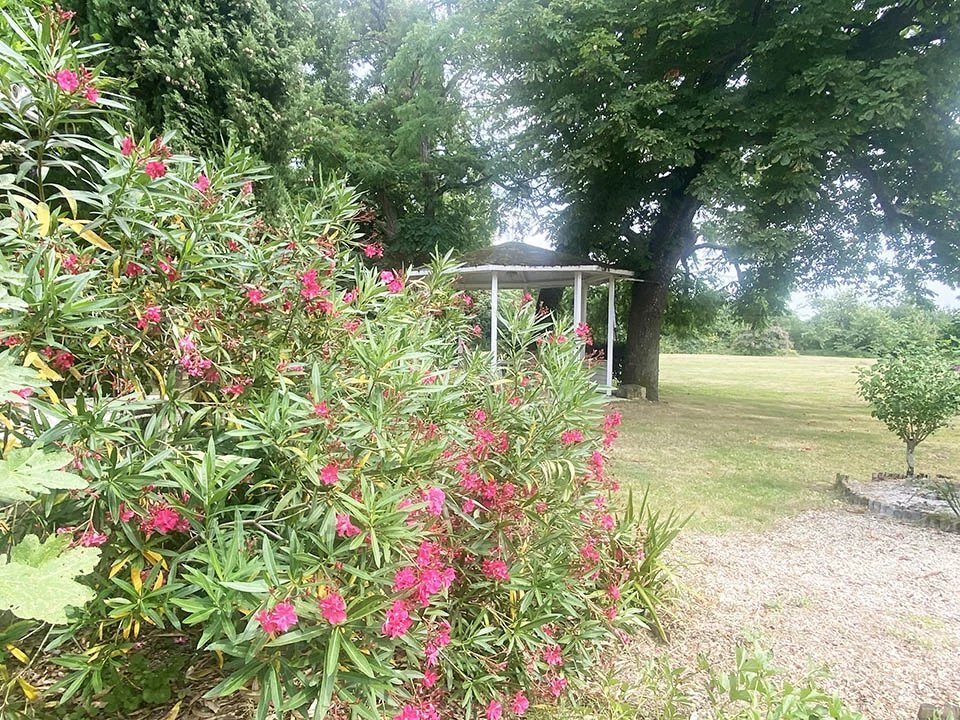 Estate in Grissais-Gros Noyer, Fontenay-le-Comte, France 4 - 16128012