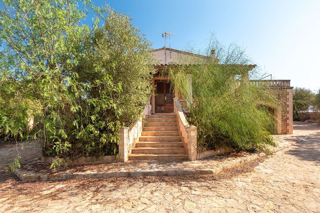 Farm Ranch in Campos, Balearic Islands, Spain 3 - 16129150
