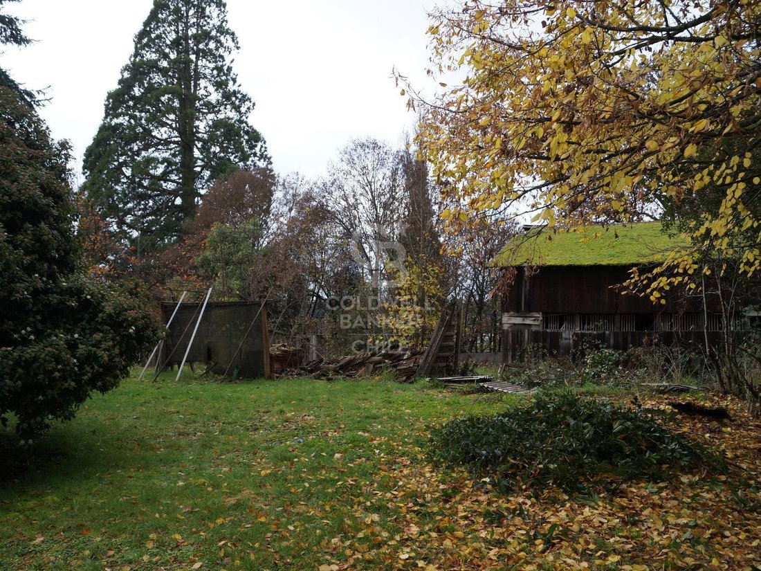 Land in Osorno, Los Lagos, Chile 5 - 16129366