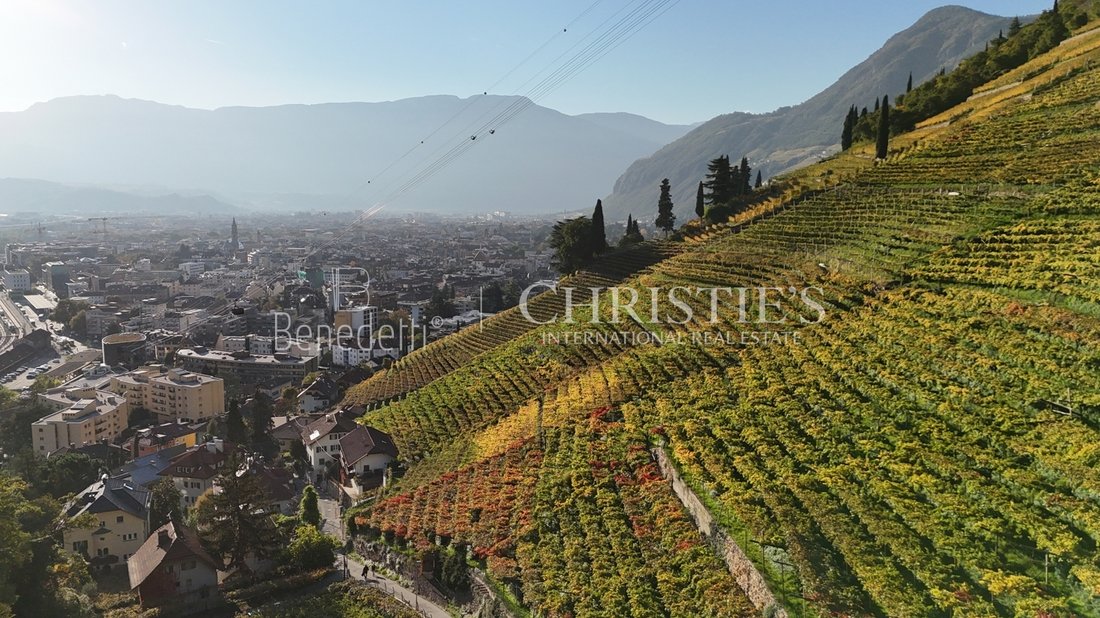 Villa in Europe-Novacella / Europa-Novacella, Bolzano / Bozen, Trentino – Alto Adige/Südtirol 3 - 16133740