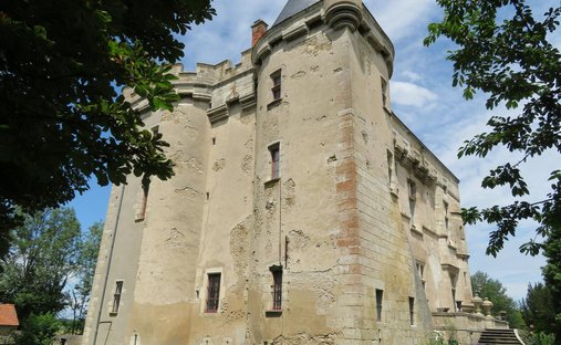 Castle for Sale in Gannat, Auvergne-Rhône-Alpes, France