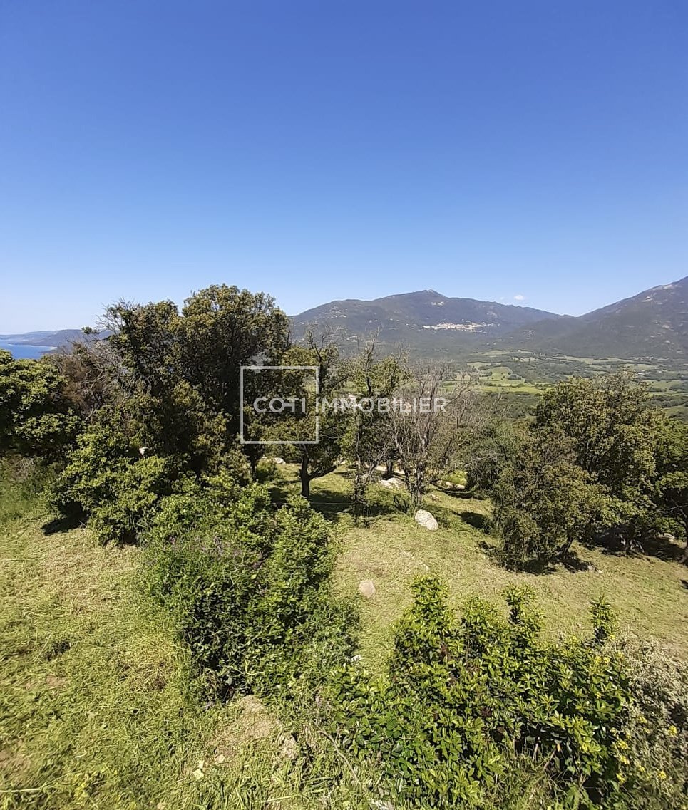 Land in Viggianello, Corsica, France 4 - 16129987