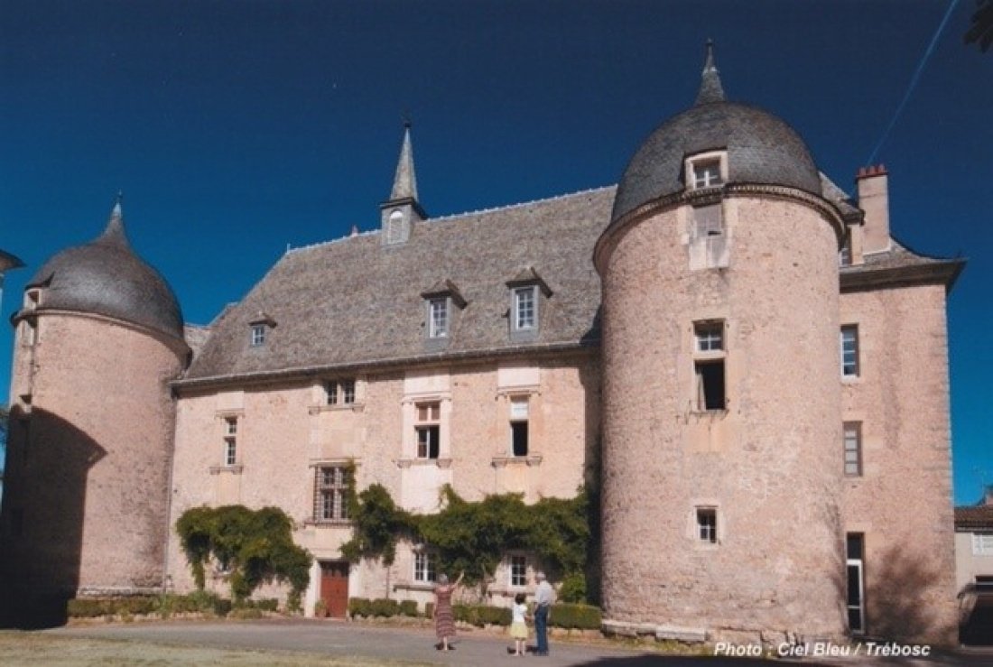 Castle in Villefranche-de-Rouergue, Occitania, France 1 - 16130650