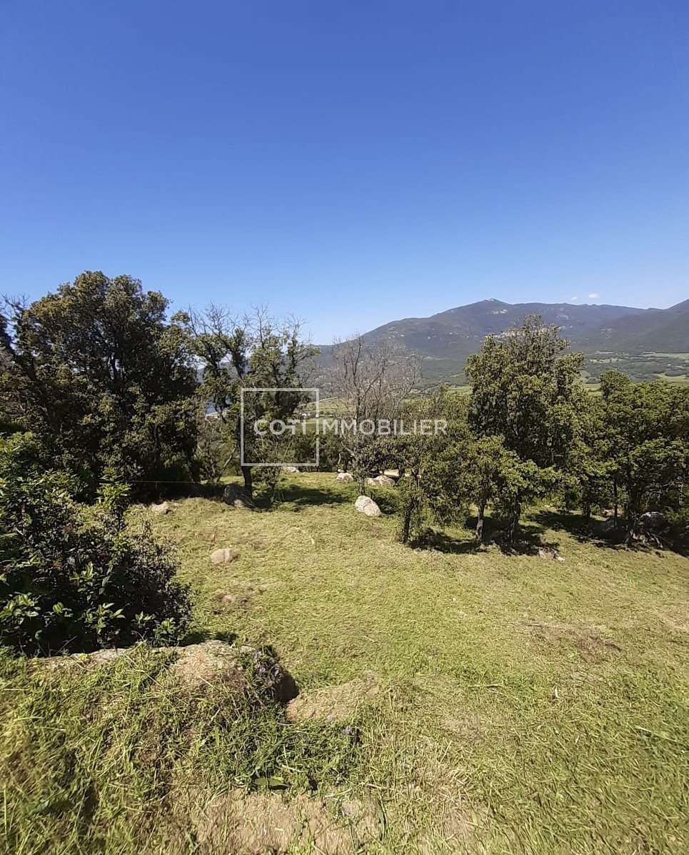 Land in Viggianello, Corsica, France 5 - 16129987