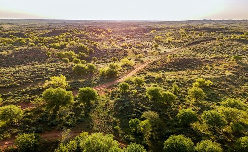 Land in Estelline, Texas, United States 1