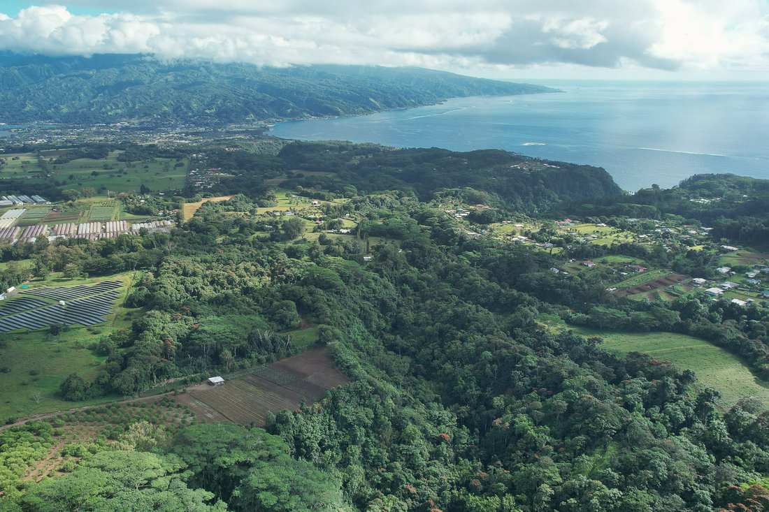 Land in AFAAHITI, Windward Islands, French Polynesia 2 - 16134922