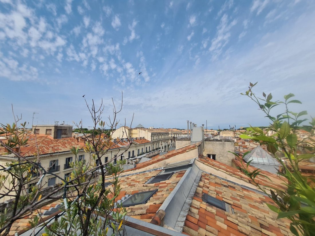Apartment in Centre Historique, Montpellier, France 2 - 16130054